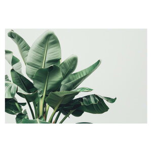 A O[ t ϗt |X^[ {^jJ  R pƃTCYIׂ CeA  vg|X^[ tHg IV A[g _ Vv   傫ylh-poster