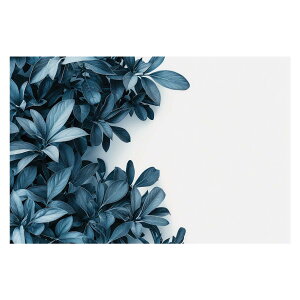 A O[ t ϗt |X^[ {^jJ  R pƃTCYIׂ CeA  vg|X^[ tHg IV A[g _ Vv   傫ylh-poster