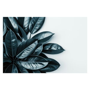 A O[ t ϗt |X^[ {^jJ  R pƃTCYIׂ CeA  vg|X^[ tHg IV A[g _ Vv   傫ylh-poster