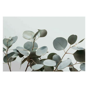 植物 グリーン 葉っぱ 観葉 ポスター ボタニカル 草 自然 用紙とサイズが選べる インテリア おしゃれ プリントポスター フォト オシャレ アート モダン シンプル お洒落 特大 大きい【lh-poster