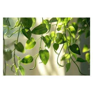 A O[ t ϗt |X^[ {^jJ  R pƃTCYIׂ CeA  vg|X^[ tHg IV A[g _ Vv   傫ylh-poster