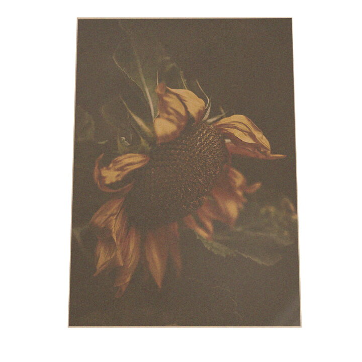 楽天市場 ポスター A3サイズ 約30x42cm 選べる用紙 大きさ インテリア おしゃれ ファッション ポスター 写真 おしゃれ アメリカン ヨーロッパ レトロ ヴィンテージ カフェ 高画質 ひまわり 向日葵 韓国 北欧 インテリア ファッションポスター