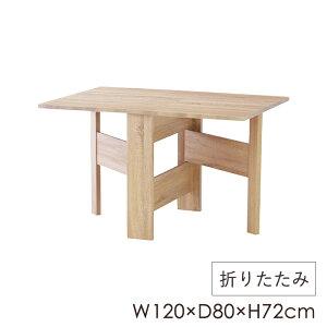 [p5{!!N[|聙}\] _CjOe[u tH[fBOe[u 120cm ܂肽  2l`4lp