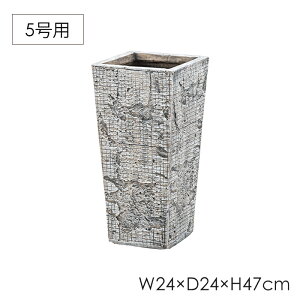 y{p5{!!z v^[ 5p 24cm A p` ϗtA  tFCNO[ p ̂