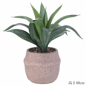 yp5{ 11/30 23:59܂Łz ϗtA tFCNO[ AKx Zg|bg  