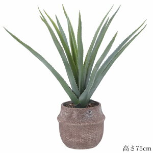 【p5倍☆秋のポイント祭 10/31まで】 観葉植物 フェイクグリーン アロエ M セメントポット 造花 おしゃれ