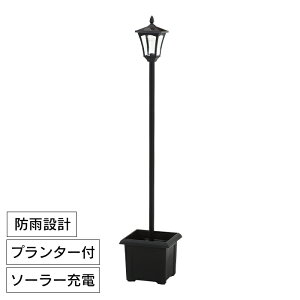 yԌ 10%OFF!!yVX[p[SALEz \[[X^hCg LED v^[t 1 \[[pl AeB[N K[fCg