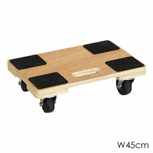 yp5{H̃|Cg 10/31܂Łz  ؐ 45×s30cm ω׏d100kg LX^[t