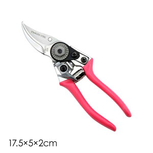 nT~ y ~jTCY p  XeXn |΂