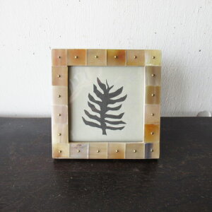 {[uXhbgtHgt[S@iAo[jtHgX^h / ʐ^ / ʐ^ /  / Ǌ|