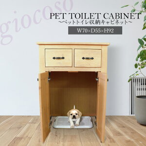 yX[p[SALE! 49900~39920~zybggC[Lrlbg CguE@ybgpLrlbg 70cm Pi VR C ؐ pC h 