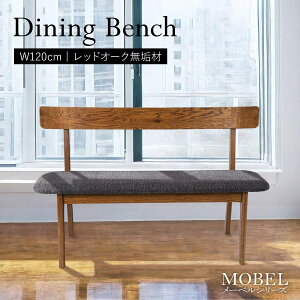 EɈ̃_CjOx` wt@120cm 2l x` Pi VR C ؐ I[N h 