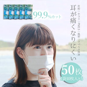 【値下げ♪ 550円→495円】マスク 不織布 50枚 99%カット 全国送料無料 1枚約10円 花粉 ホコリ PM2.5 黄砂 風邪 インフルエンザ ウィルス 飛沫防止 不織布 プリーツ 10枚包装 白