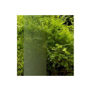 3M KXtB t@T C~i tNg SH2SllM 1270mm 10cm