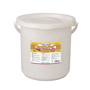 ヤヨイ化学 New ビスパッチ 13L 軽量補修パテ ビス頭用 273-822