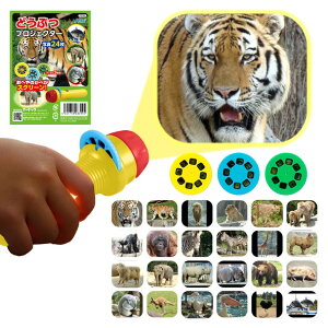 A[ebN ǂԂvWFN^[ 3394