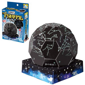 A[ebN Ă̂Ђ Ă̂Ђvl^ELbg 55441