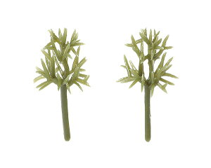 A[ebN WI}͌^ ̊ 1^50 10g 55580