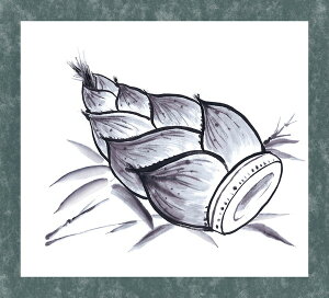 A[ebN nlZbg W䎆t 12659