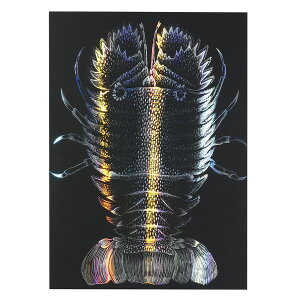 �A�[�e�b�N �z���O�����X�N���b�`�{�[�hII150×200mm���^���b�N�t���[���Z�b�g 12652