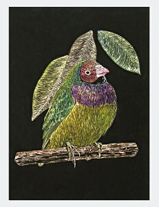 �A�[�e�b�N �X�N���b�`�{�[�hEX �X�N���[�p�[ 13467