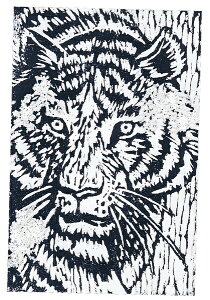 A[ebN pŖ C 4{i300x200x10j 20312