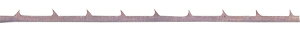 A[ebN ̂n i12{j No2 24R  32421