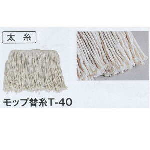 �e�����g ���b�v�֎� T�|40 CL-366-226-0 ��24cm ����235mm 260g