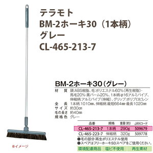 テラモト BM-2ホーキ30 (1本柄) グレー CL-465-213-7 30cm