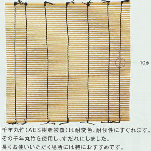 O[x lH| | A60CF010Y W880×H840