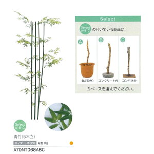 O[x p |DXi5{j 1g H1800 A70NT068ABC