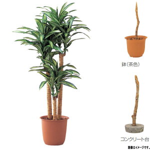 O[x lHA ؁Ep K̖؁i3{j A70NC218 H1800mm