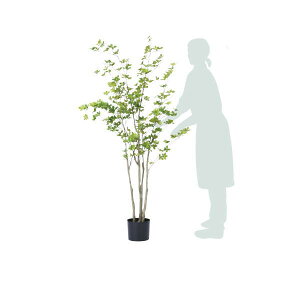 O[x lHA ؁Ep hE_ccW H1500 A70TN115