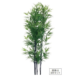 O[x lH O | UV 3{Zbg Ȃ A70TR7183