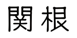 ���� �X�e�����X�ؕ��� �\�D �^�C�j�[�T�C���i2�����j KTR-2