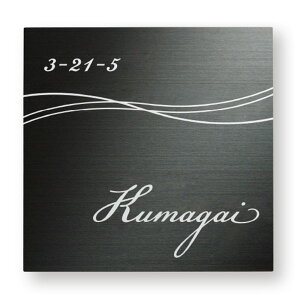 ���� �X�e�����X�h���C �X�e�����X�u���b�NHL �V���o�[ SB-511