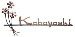  \D j[uXACA [U[Jbg IR-97