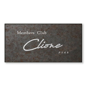  ŔE ǕtTC GNZi^u[mjXeX W600×H300×D12mm XZ-8