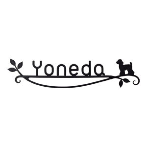 ZNtg [gXeX\D J[mEsA ƕ悮 KRP-15