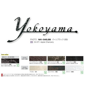 I[Nu tHXgqYl[v[g N[eCXg S40 LTCY o[ubN NA1-S40LBB