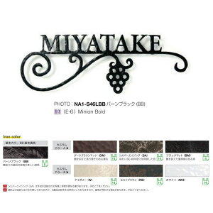 I[Nu tHXgqYl[v[g NVbNeCXg S46 STCY ubN}bg NA1-S46SBM