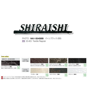 I[Nu tHXgqYl[v[g N[eCXg S54 STCY o[ubN NA1-S54SBB