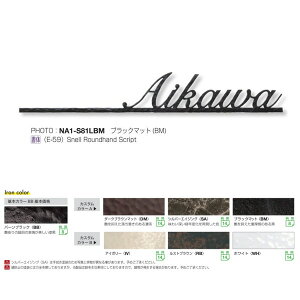 I[Nu tHXgqYl[v[g N[eCXg S81 o[ubN STCY NA1-S81SBB