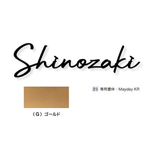 I[Nu \D l[v[g LWEo[ XNvgio[Ȃj LTCY W90`300×H50`110×D3mm HS1-KBSB-LG S[h