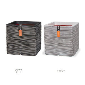 g[V v^[ lC`[ u XNGA CTN-KOFiZEIj902 C|[g Ȃ STCY 300×H300mm