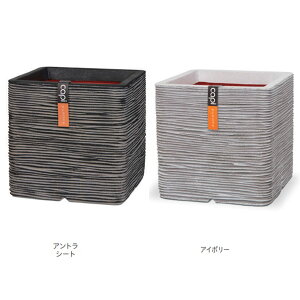 g[V v^[ lC`[ u XNGA CTN-KOFiZEIj903 C|[g Ȃ MTCY 400×H400mm