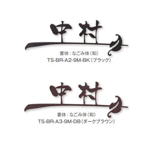 g[V \D XeXACATC TS-BR-A-9M-