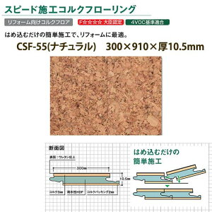 RN gbp[RN Xs[h{H RNt[O E^d CSF-55 i` 300×910×10.5mm 1