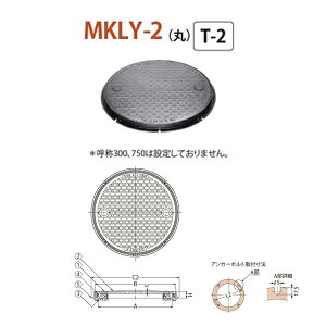 Jl\E }z[Enhz[SW ȈՖ`iȈՖhEhL`jt ۘg MKLY-2iہj 600 nht T-2