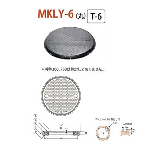 Jl\E }z[Enhz[SW ȈՖ`iȈՖhEhL`jt ۘg MKLY-6iہj 450 nht T-6